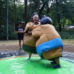 Sumo-Ringen.