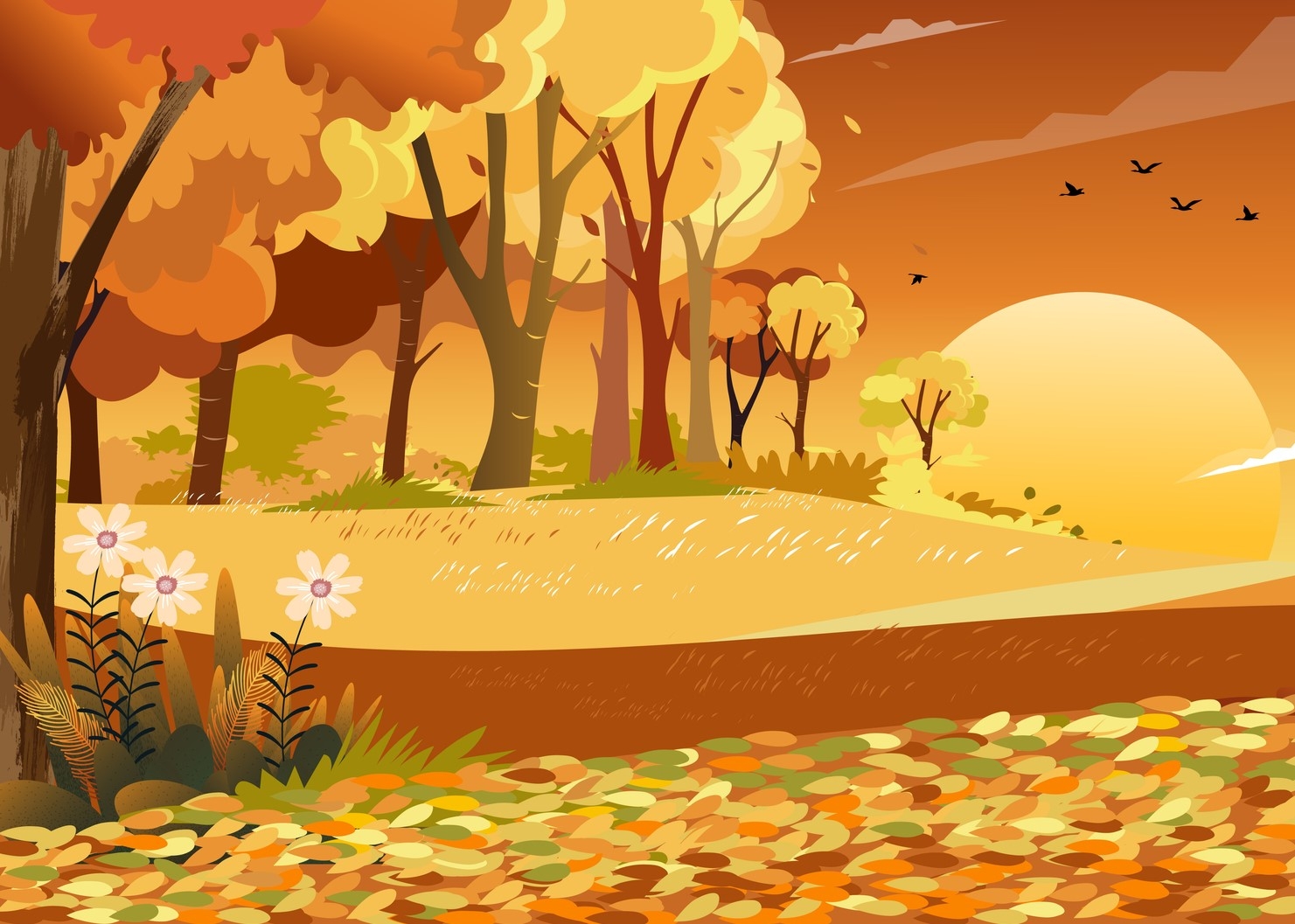 Autumn landscape wonderland forest with grass land, Mid autumn natural in orange foliage, Fall season with beautiful panoramic view with sunset behind mountain and maples leaves falling from trees