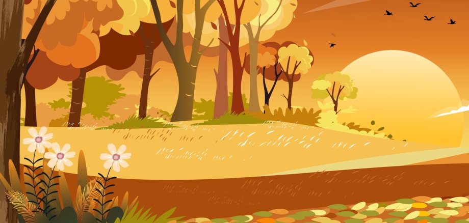 Autumn landscape wonderland forest with grass land, Mid autumn natural in orange foliage, Fall season with beautiful panoramic view with sunset behind mountain and maples leaves falling from trees