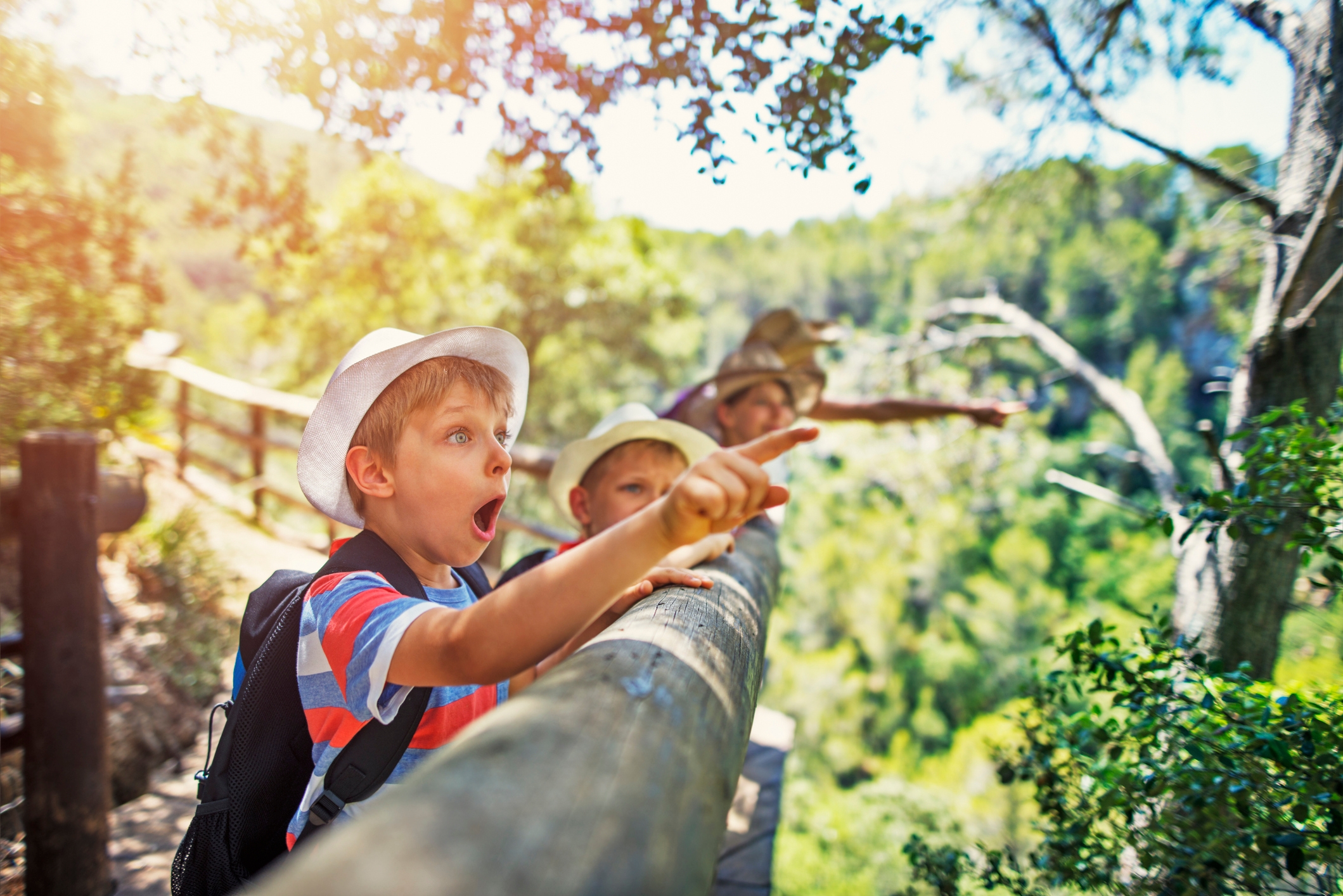 Eine Mutter mit zwei Jungen, die Hüte tragen, wandern im Wald.