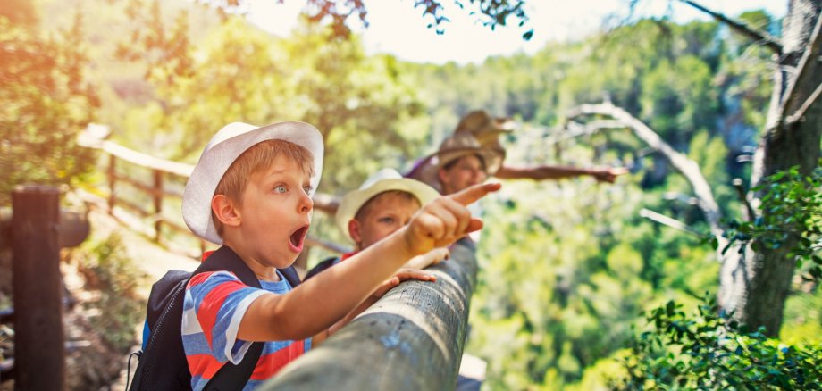 Eine Mutter mit zwei Jungen, die Hüte tragen, wandern im Wald.