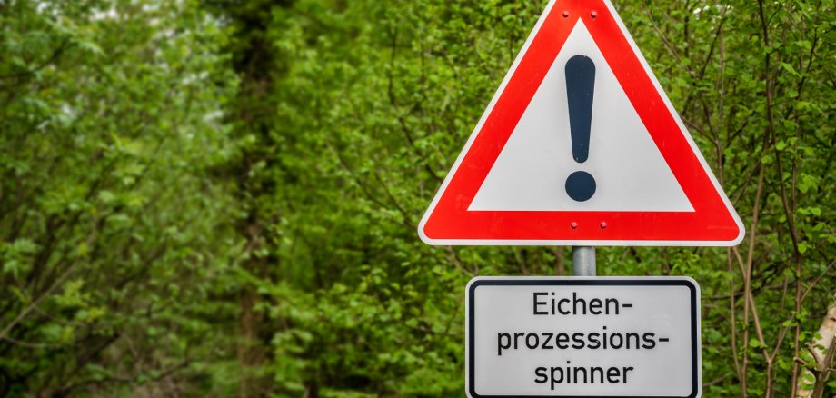 Warning sign in a wooded area in front of the oak processionary moth and its health effects with the German word for oak processionary moth